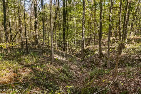 347 14 Acres Bridges Rd, Brandon, MS 39042 photo 31