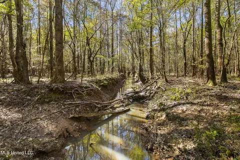 347 14 Acres Bridges Rd, Brandon, MS 39042 photo 27