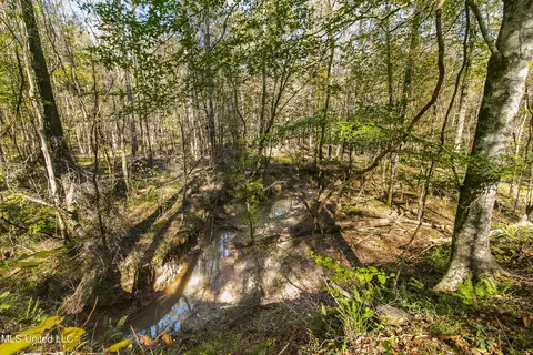 347 14 Acres Bridges Rd, Brandon, MS 39042 photo 33
