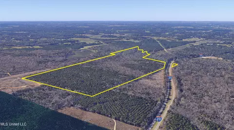 347 14 Acres Bridges Rd, Brandon, MS 39042 photo 4