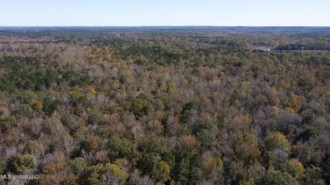 347 14 Acres Bridges Rd, Brandon, MS 39042 photo 6