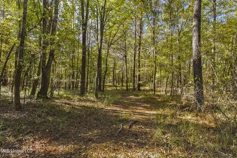 347 14 Acres Bridges Rd, Brandon, MS 39042 photo 23