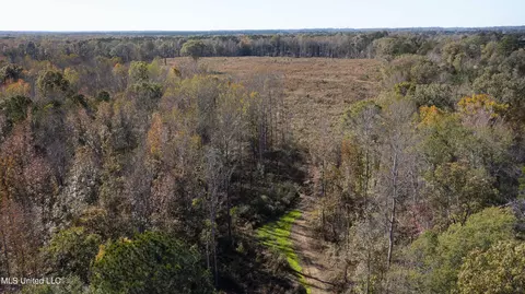 347 14 Acres Bridges Rd, Brandon, MS 39042 photo 16