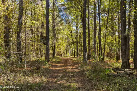 347 14 Acres Bridges Rd, Brandon, MS 39042 photo 22