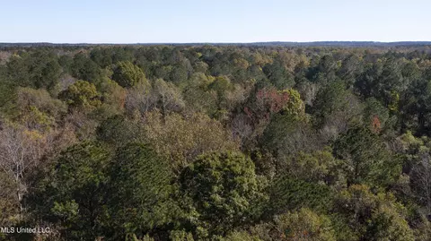347 14 Acres Bridges Rd, Brandon, MS 39042 photo 37
