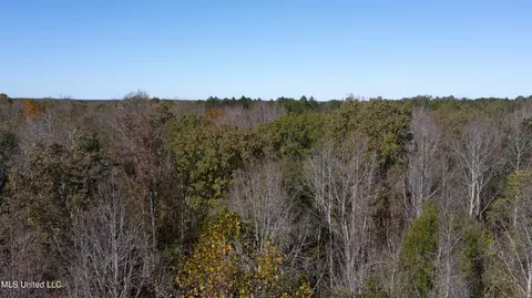 347 14 Acres Bridges Rd, Brandon, MS 39042 photo 35