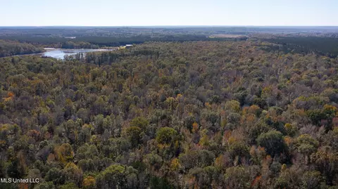 347 14 Acres Bridges Rd, Brandon, MS 39042 photo 10
