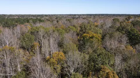 347 14 Acres Bridges Rd, Brandon, MS 39042 photo 38