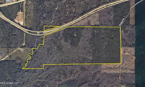 347 14 Acres Bridges Rd, Brandon, MS 39042 photo 3