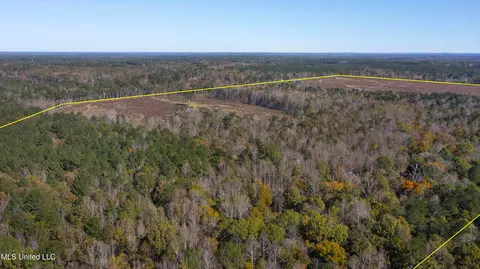 347 14 Acres Bridges Rd, Brandon, MS 39042 photo 9