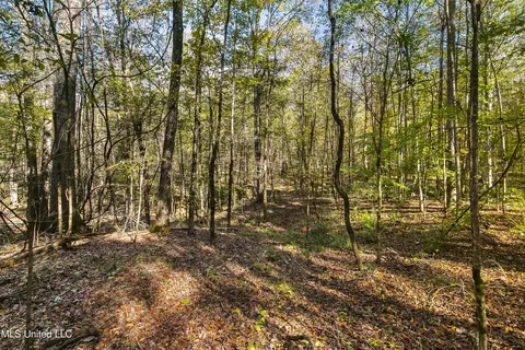 347 14 Acres Bridges Rd, Brandon, MS 39042 photo 32