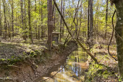 347 14 Acres Bridges Rd, Brandon, MS 39042 photo 28