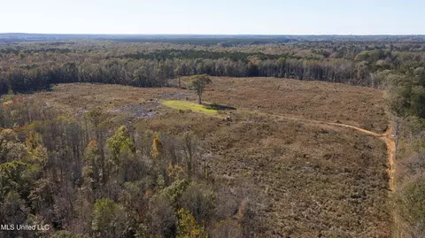 347 14 Acres Bridges Rd, Brandon, MS 39042 photo 17
