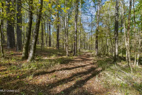 347 14 Acres Bridges Rd, Brandon, MS 39042 photo 30