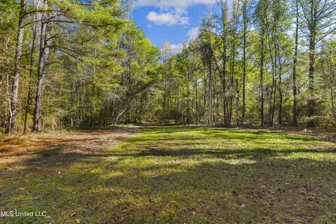 347 14 Acres Bridges Rd, Brandon, MS 39042 photo 21
