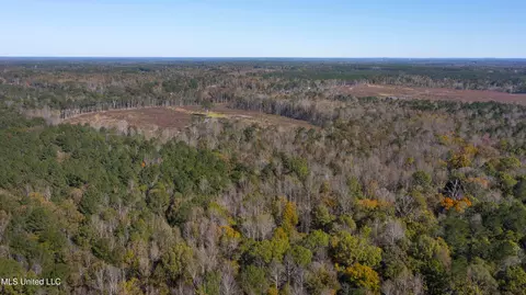 347 14 Acres Bridges Rd, Brandon, MS 39042 photo 8