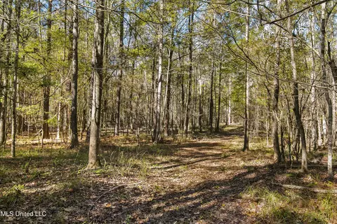347 14 Acres Bridges Rd, Brandon, MS 39042 photo 26