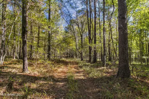 347 14 Acres Bridges Rd, Brandon, MS 39042 photo 24