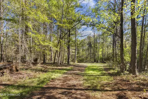 347 14 Acres Bridges Rd, Brandon, MS 39042 photo 29