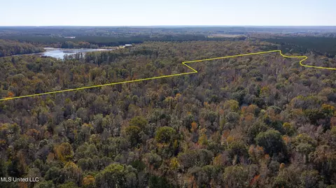 347 14 Acres Bridges Rd, Brandon, MS 39042 photo 11