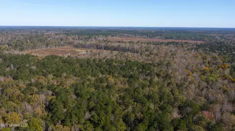 347 14 Acres Bridges Rd, Brandon, MS 39042 photo 39