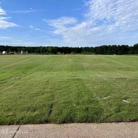 566 Wells Dr, Hernando, MS 38632 photo 54