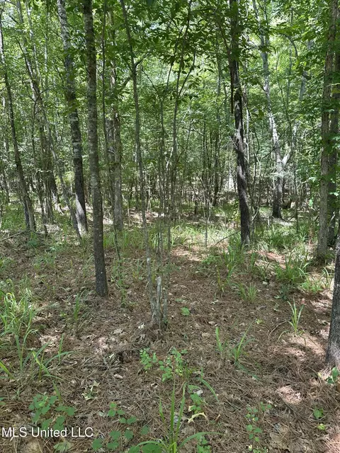 N Ridge Road, Grenada, MS 38901 photo 5
