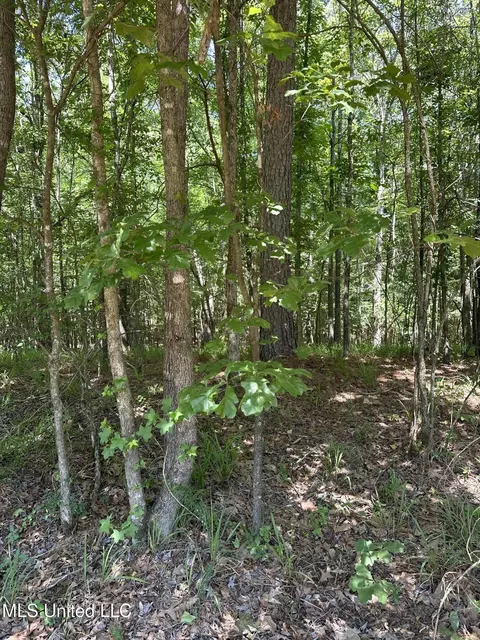 N Ridge Road, Grenada, MS 38901 photo 6