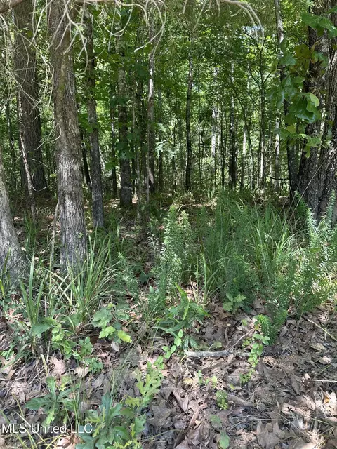 N Ridge Road, Grenada, MS 38901 photo 3