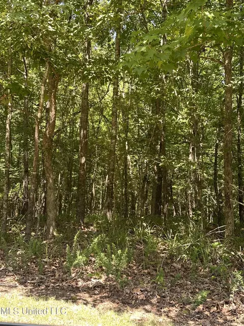 N Ridge Road, Grenada, MS 38901 photo 2