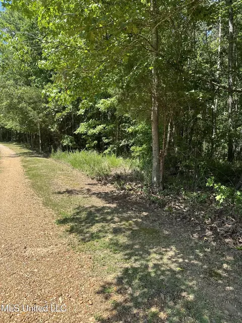 N Ridge Road, Grenada, MS 38901 photo 4