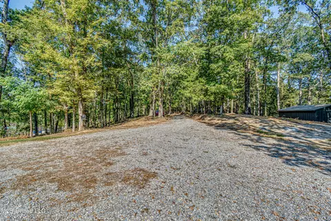 Exterior - 125 Chestnut Hill Rd, Flora, MS 39071 photo 13 of 33