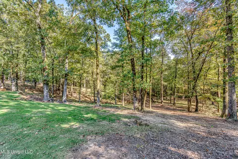 Exterior - 125 Chestnut Hill Rd, Flora, MS 39071 photo 23 of 33