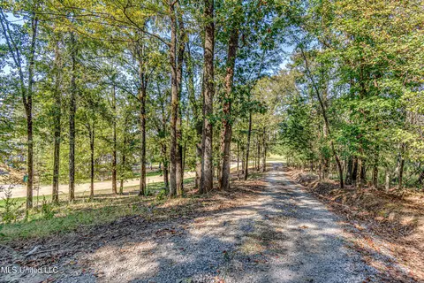 Other - 125 Chestnut Hill Rd, Flora, MS 39071 photo 11 of 19