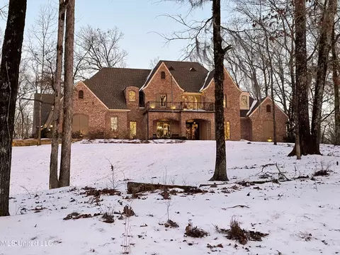 Exterior - 125 Chestnut Hill Rd, Flora, MS 39071 photo 28 of 33