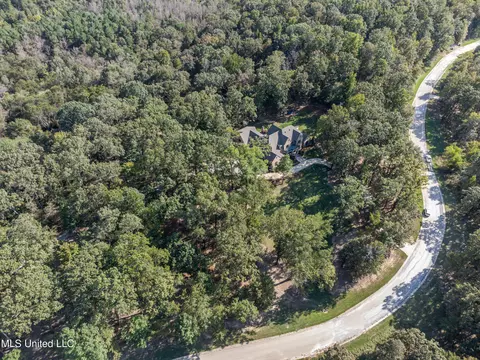 View/Area - 125 Chestnut Hill Rd, Flora, MS 39071 photo 3 of 4