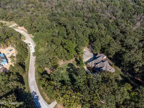 View/Area - 125 Chestnut Hill Rd, Flora, MS 39071 photo 4 of 4