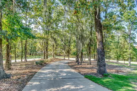 Exterior - 125 Chestnut Hill Rd, Flora, MS 39071 photo 10 of 33