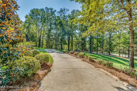 Exterior - 125 Chestnut Hill Rd, Flora, MS 39071 photo 2 of 33