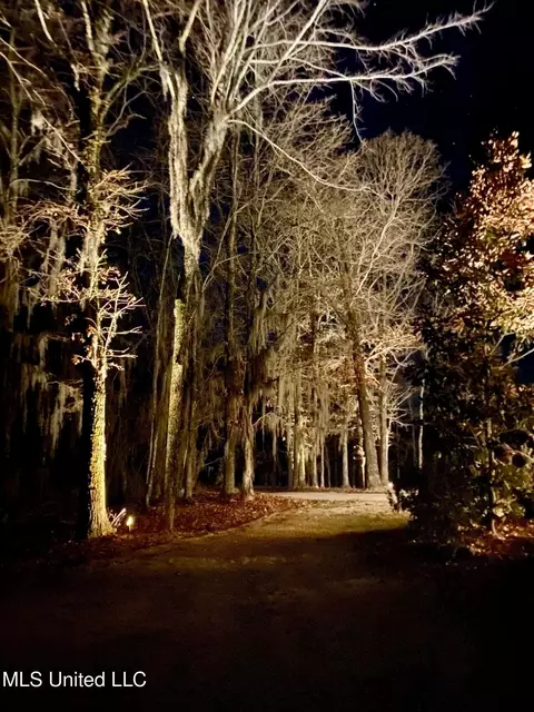 Other - 125 Chestnut Hill Rd, Flora, MS 39071 photo 14 of 19