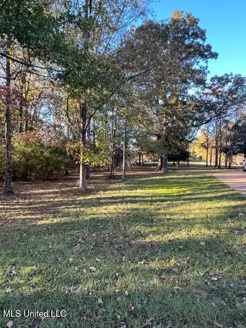 Other - 208 Crescent H Dr, Terry, MS 39170 photo 13 of 13