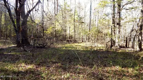 4955 Ennis Rd, Starkville, MS 39759