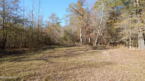 4885 Ennis Rd, Starkville, MS 39759