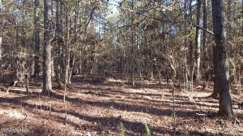 4561 Ennis Rd, Starkville, MS 39759