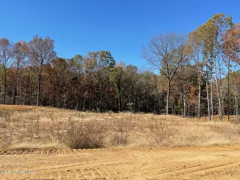 3 Highwoods Dr, Byhalia, MS 38611