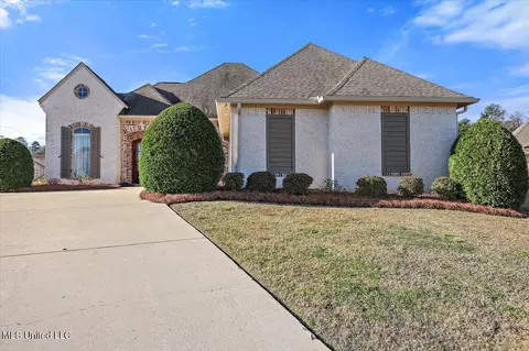 309 Bristlecone Ct, Flowood, MS 39232 photo 3
