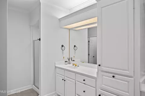 Bath - 710 Woodgate Dr, Madison, MS 39110 photo 1 of 4