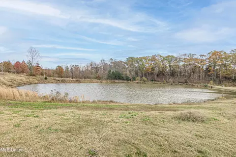 2636 Rodeo Way, Nesbit, MS 38651 photo 30