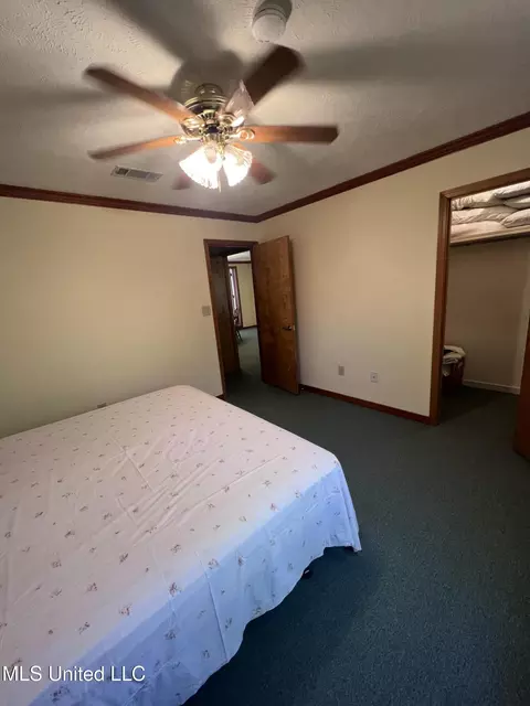 111 E Pittman Cir, Pearl, MS 39208 photo 15