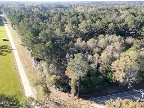 111 E Pittman Cir, Pearl, MS 39208 photo 37